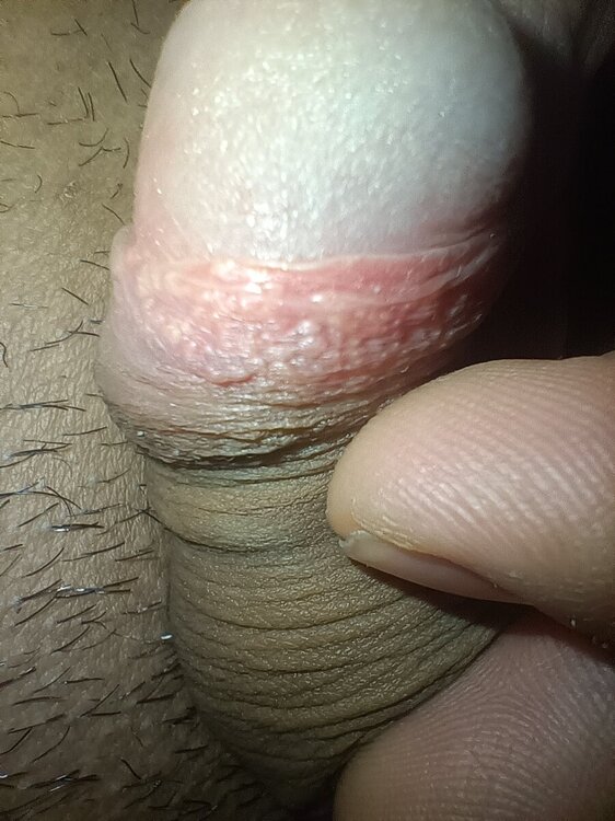 IMG20231229174210.jpg