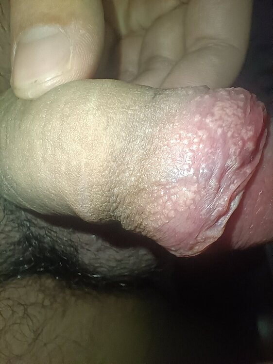 IMG20231229174214.jpg