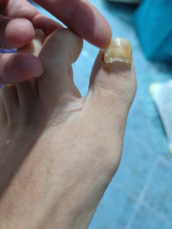 IMG20231231124005.jpg