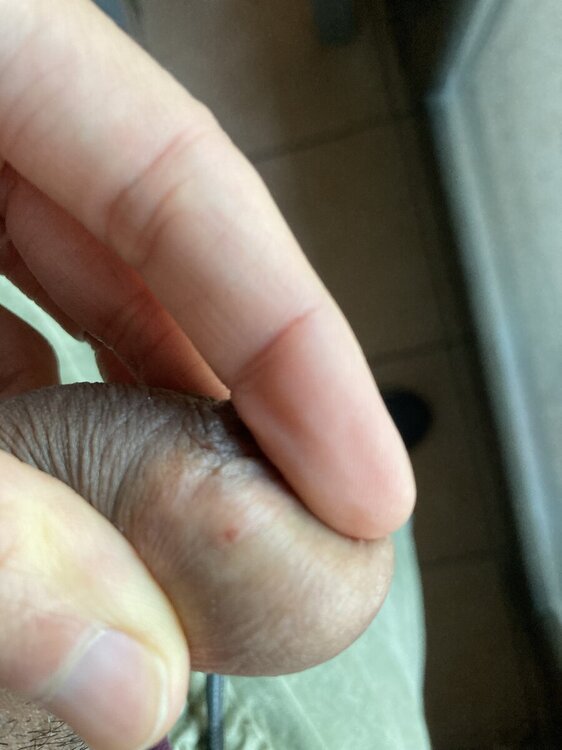 IMG_1499.jpeg