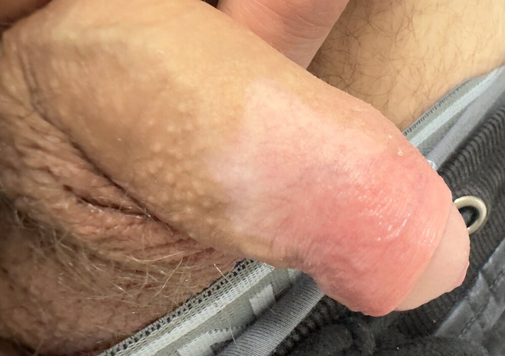 IMG_5291.jpeg