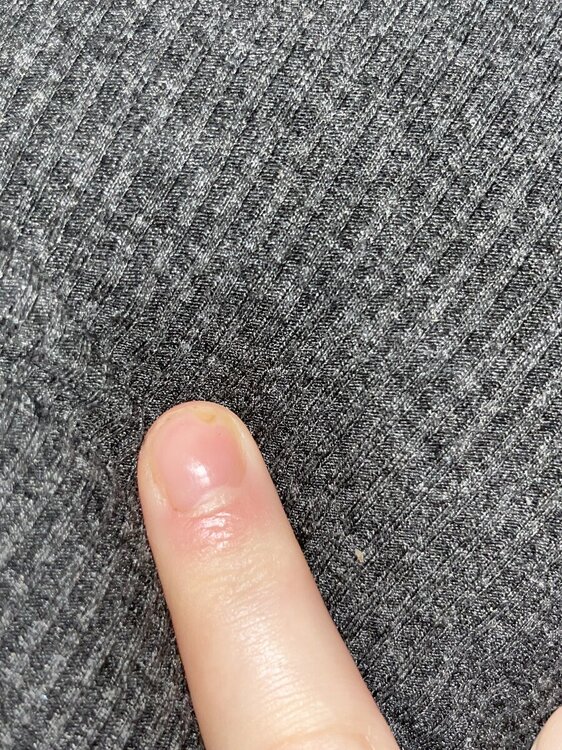 IMG_6064.thumb.jpeg.0ac14dc42e14042611cb1a516b788eb7.jpeg