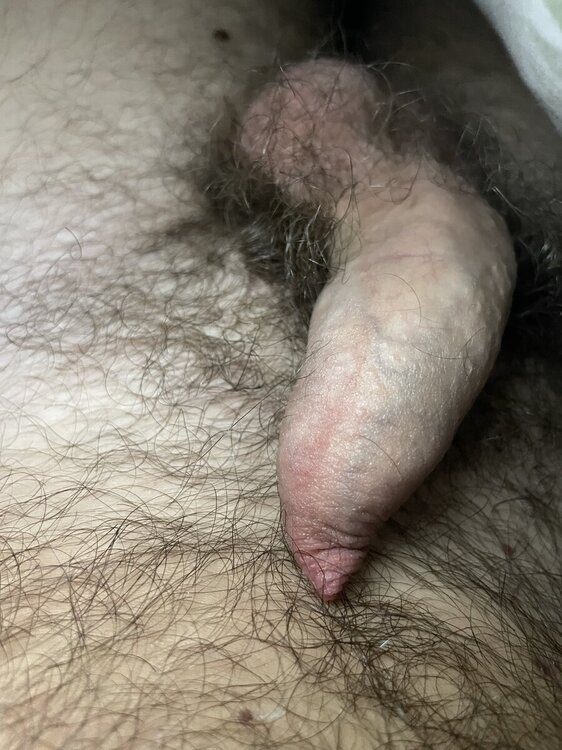 IMG_9714.jpeg