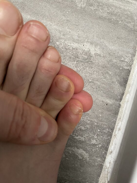 IMG_9812.jpeg