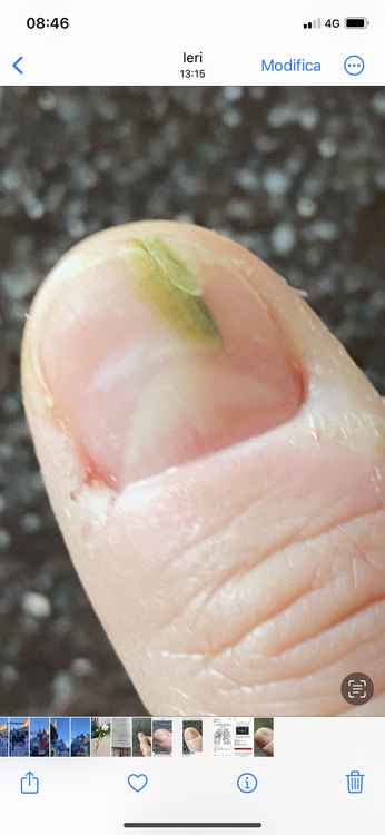 03C9C4C2-8B95-40FF-AFB1-5B50E2901A78.thumb.png.73bb4c80eeb18cf112348fbc89e6aac1.png