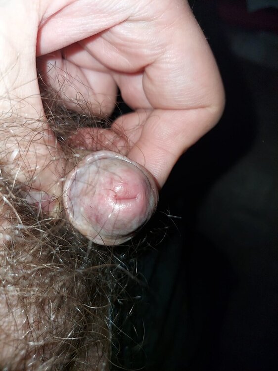 06f90eae-c73e-445c-9756-3476ae0ae1db.jpg