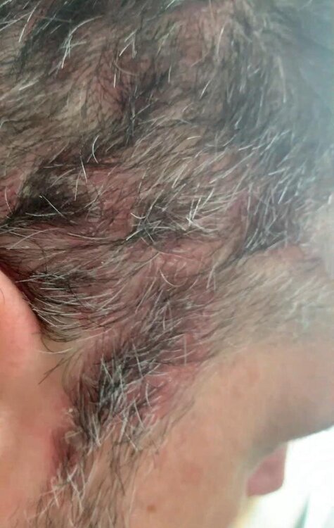 WhatsApp Image 2024-01-19 at 10.42.34.jpeg