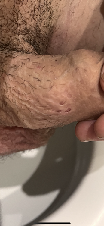 197DF0E3-319D-4C31-B9DD-0C06B30206DF.thumb.png.06216916d4bfcad62cf0240d21116a2a.png