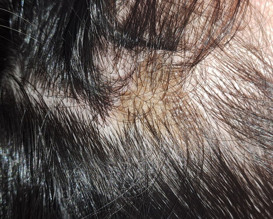 20240103_151230.jpg