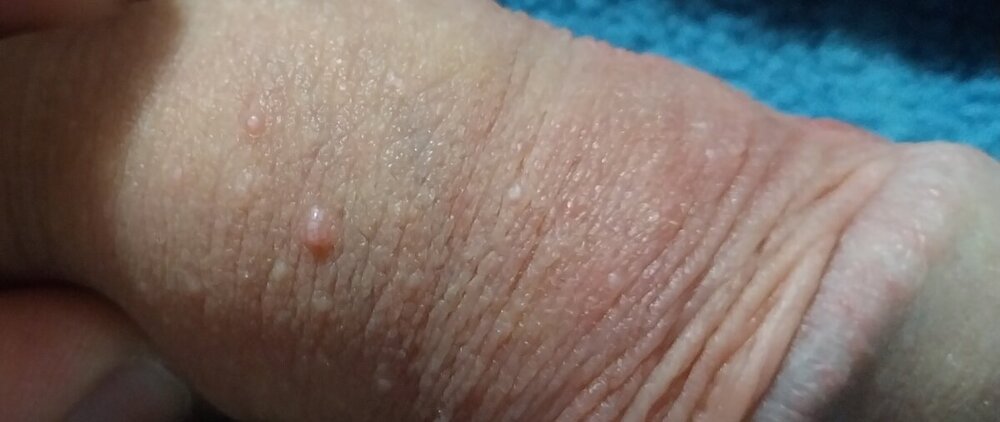 20240110_200821.jpg