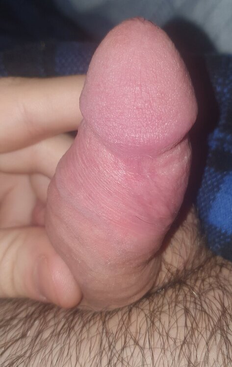 20240121_115255.jpg