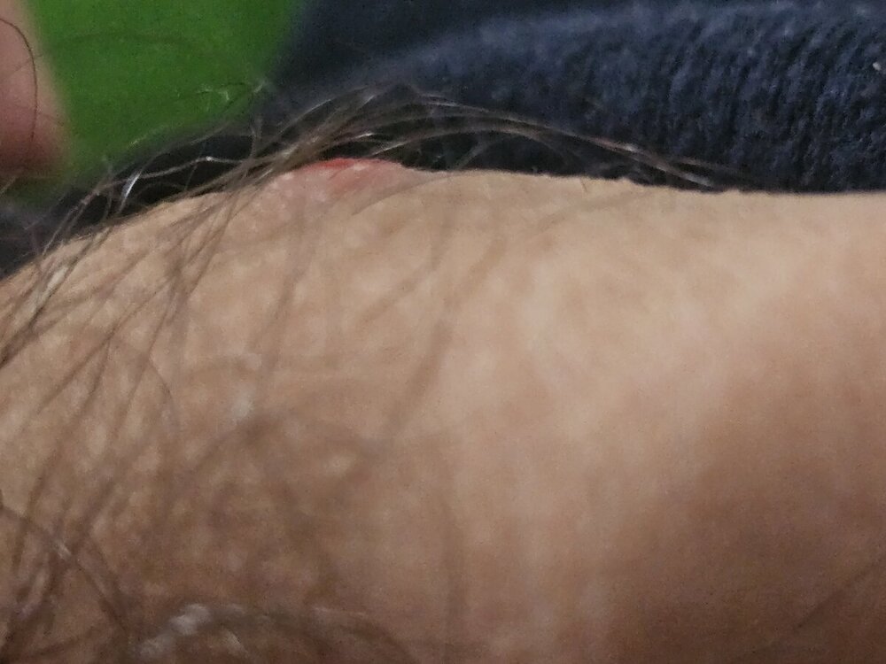 20240126_124844.jpg