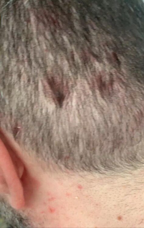 WhatsApp Image 2024-01-19 at 10.42.34 (2).jpeg