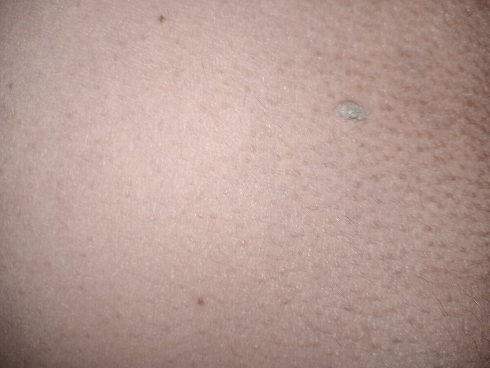 IMG20240129185555.jpg