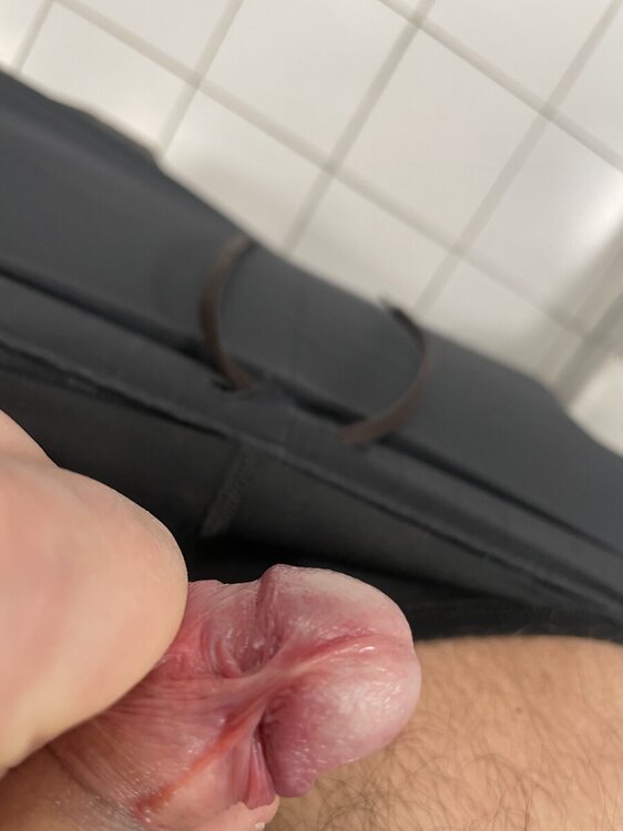 IMG_0293.jpeg