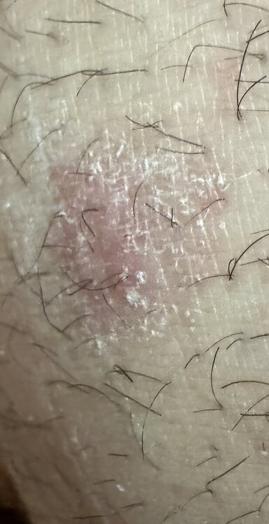 IMG_1080.thumb.jpeg.45bb879769480e628d4e1ac7dd5f5ceb.jpeg