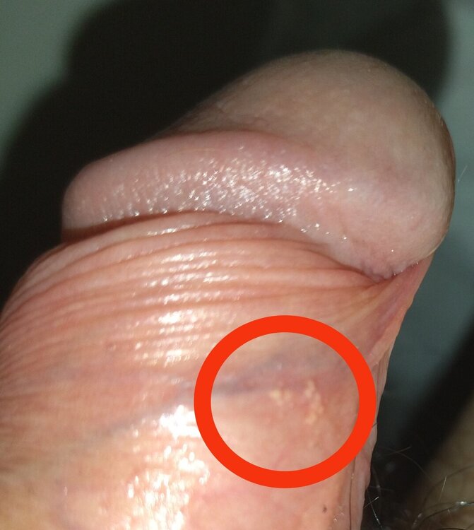 IMG_20240105_004432.thumb.jpg.bba48df45e69bd2318fbbfeb4701fcfc.jpg