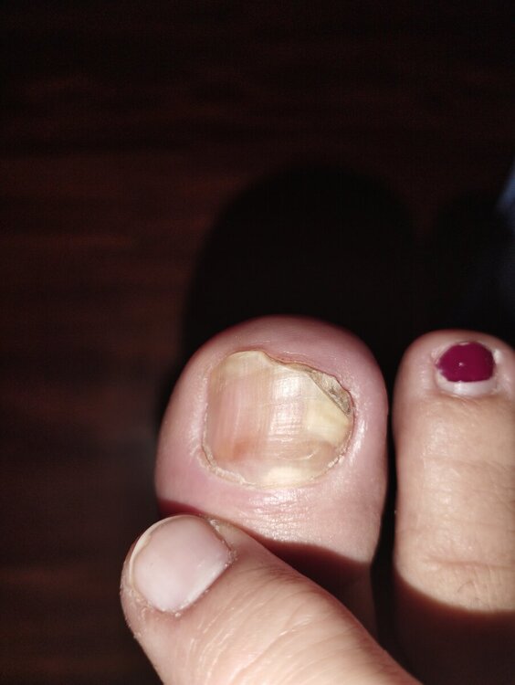 IMG_20240114_112957.thumb.jpg.c466dd1c2b34fb4a96f7bd9bd516c199.jpg