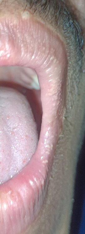 IMG_20240115_004139.jpg