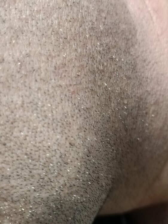 IMG_20240122_120543.jpg