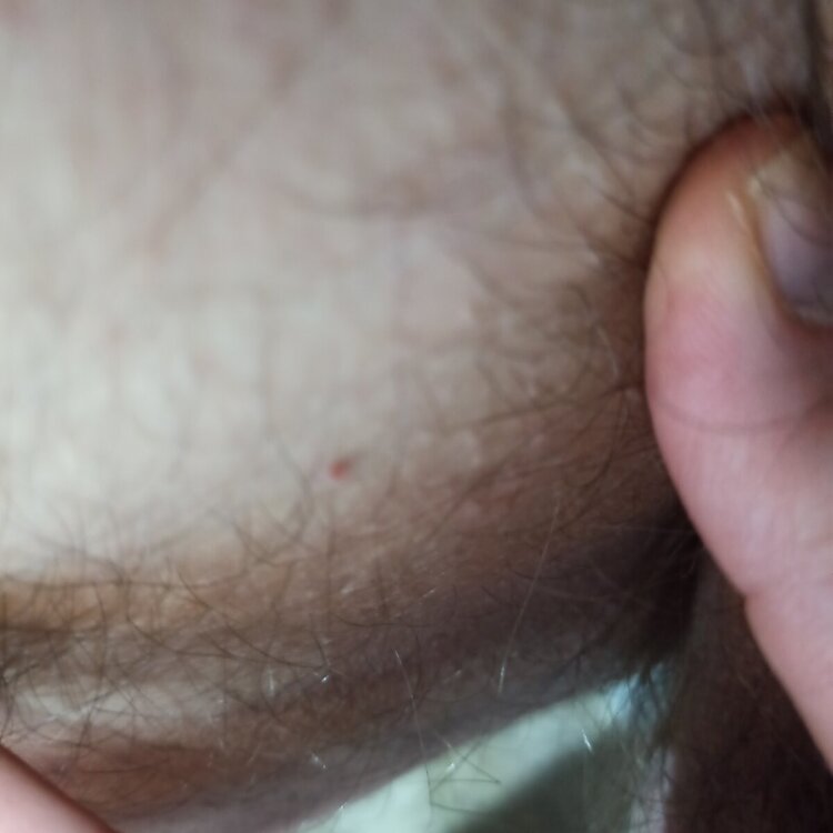 IMG_20240122_203821.jpg