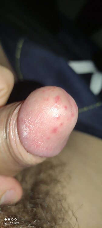 IMG_20240130_003528.jpg
