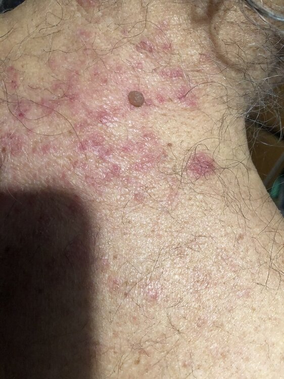 IMG_4508.thumb.jpeg.56cae10ad3c24d6e82b649ed0b8c7751.jpeg