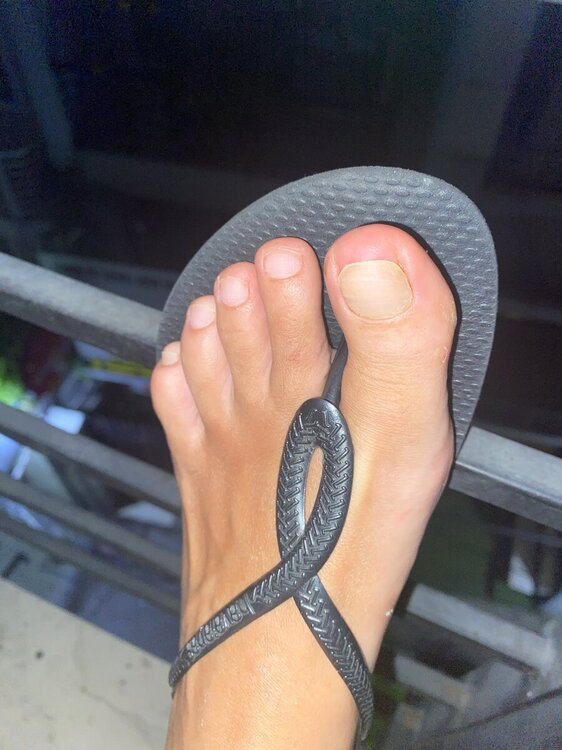IMG_5484.thumb.jpeg.f753235cf8ff8be30c95d2a49d7f384a.jpeg