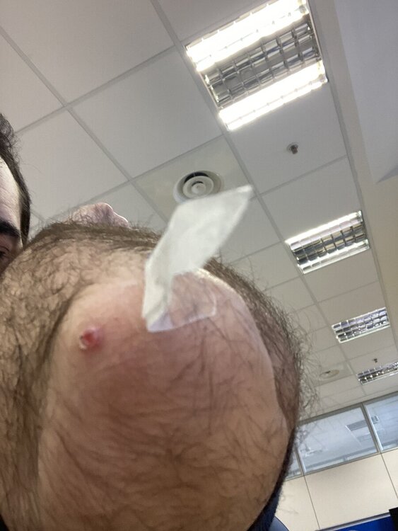 IMG_7752.jpg