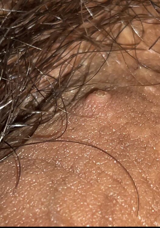 IMG_9109.jpeg