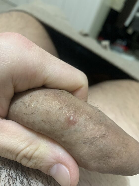 IMG_9476.thumb.jpeg.750f234b6d0419c504b7e92063641a10.jpeg