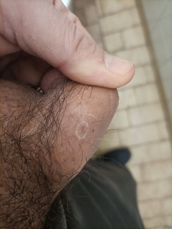 17079902894168977798753087766559.thumb.jpg.6d7f4fe41af02afb3d94b2e93b205a0d.jpg