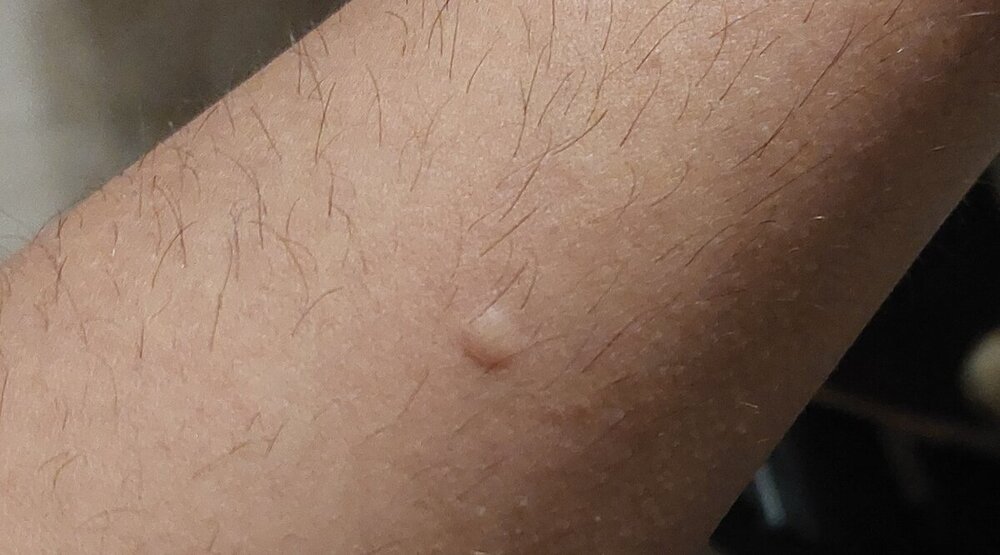 20240227_000727.thumb.jpg.81bc853aa54dc13e70e3b9b94258cf9f.jpg