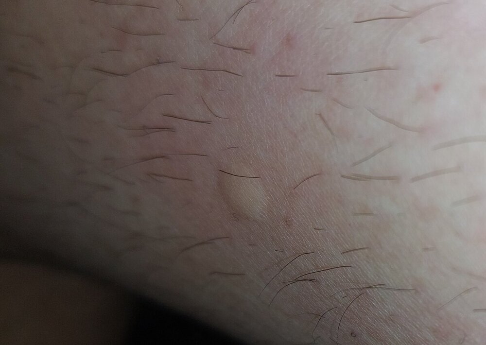 20240227_070133.jpg