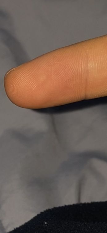 881E7C24-060F-4DE9-8419-CDDC244B6746.thumb.png.ea04cceb431e203ea53460b768305218.png