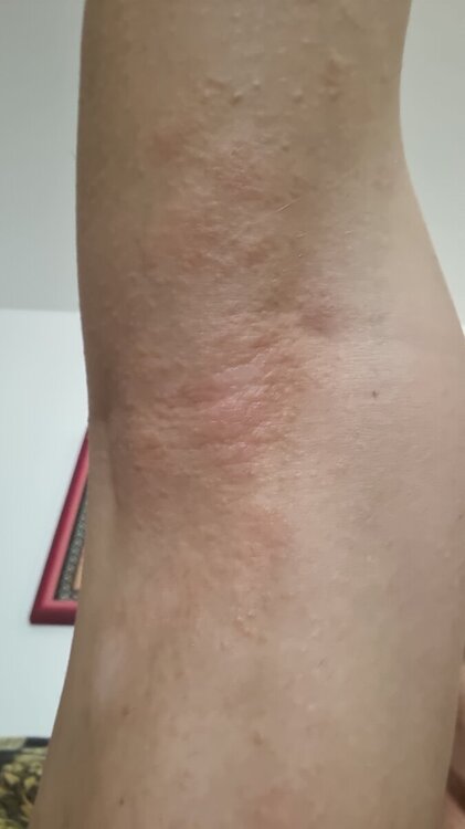 IMG-20220823-WA0008.jpeg