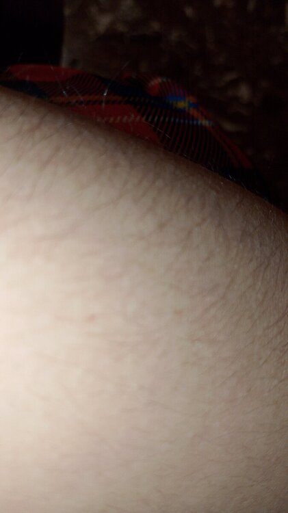 IMG-20240208-WA0069.jpeg