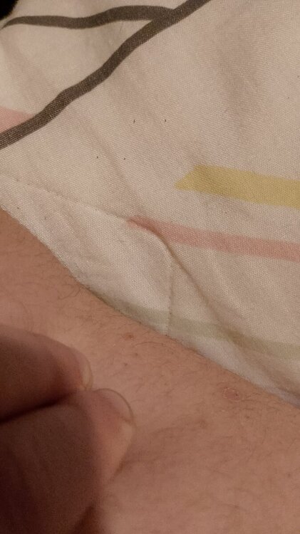 IMG-20240210-WA0028.thumb.jpeg.19f496a880eb2a2869b6a77094d8c492.jpeg