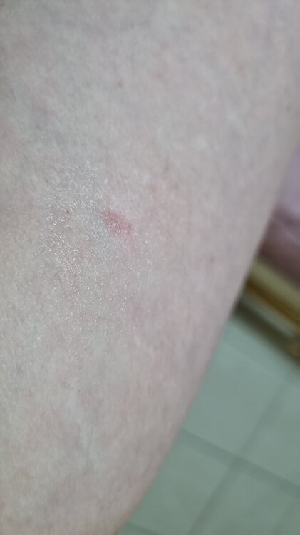IMG-20240223-WA0001.jpeg