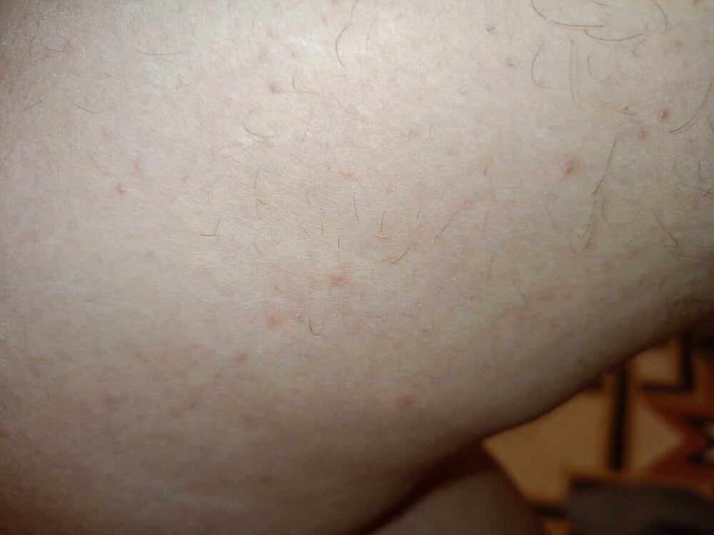 IMG20240214172954.jpg