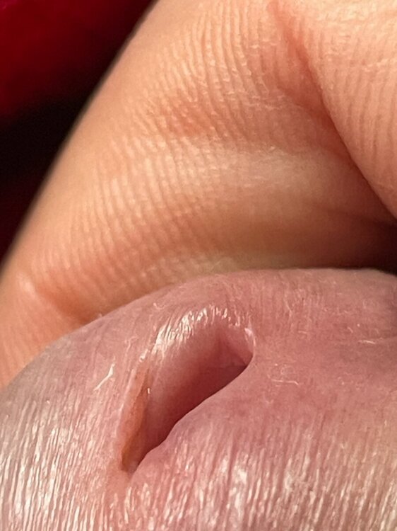 IMG_0969.thumb.jpeg.4fd7da5460a22e8666491d88989fcfbd.jpeg