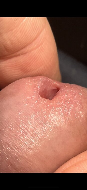 IMG_1103.thumb.png.82c60ebfe5061a1263dffa70b97bf83c.png