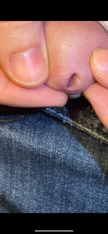 IMG_1142.thumb.png.669b291f58d813ce8cafb46d183ff9b8.png