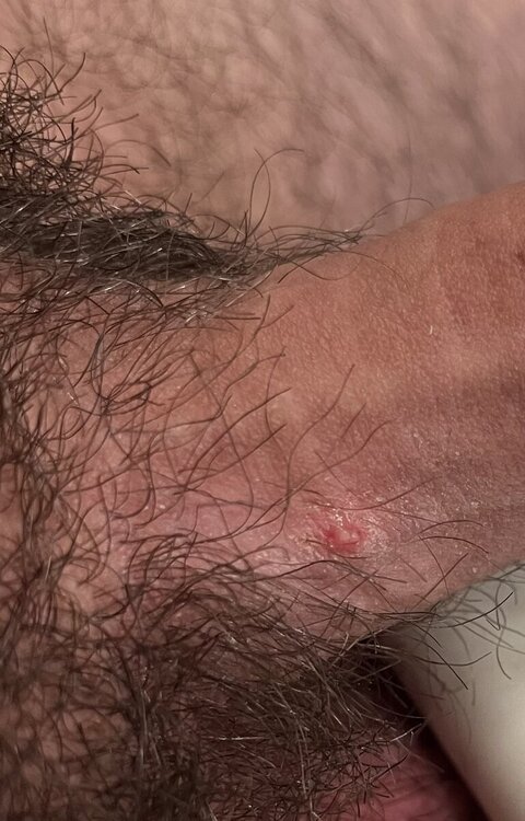 IMG_1192.thumb.jpeg.8efddf0842fe3b82dd13cdab2f03977d.jpeg