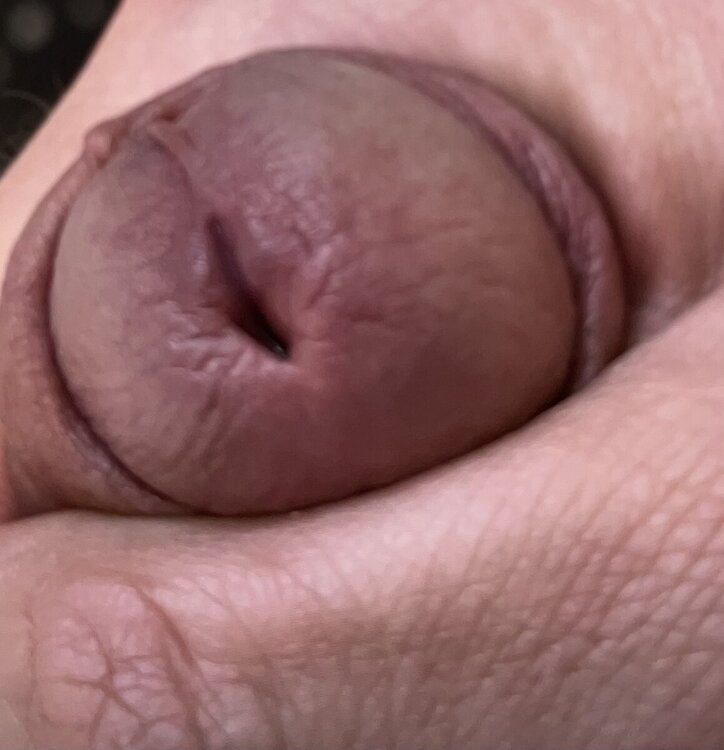 IMG_1241.thumb.jpeg.c3ad541636381f45059fc74b586e189c.jpeg
