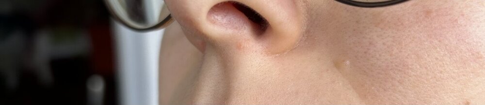 IMG_2488.jpeg