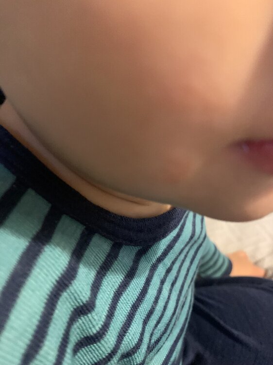 IMG_6410.jpeg