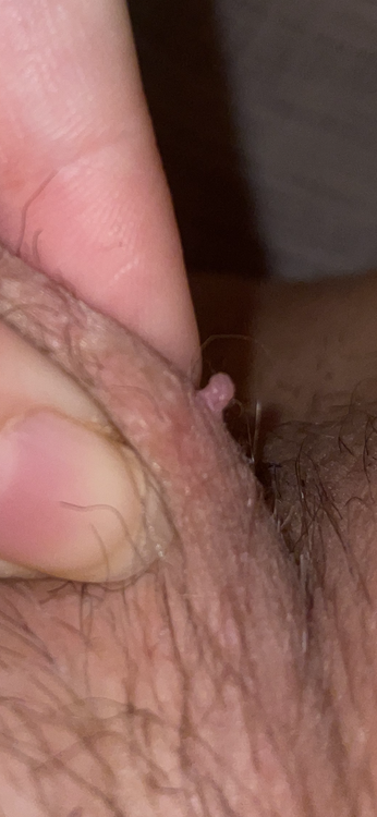 IMG_6880.thumb.png.3c06c2e38081b1130d3c4db61325d32f.png