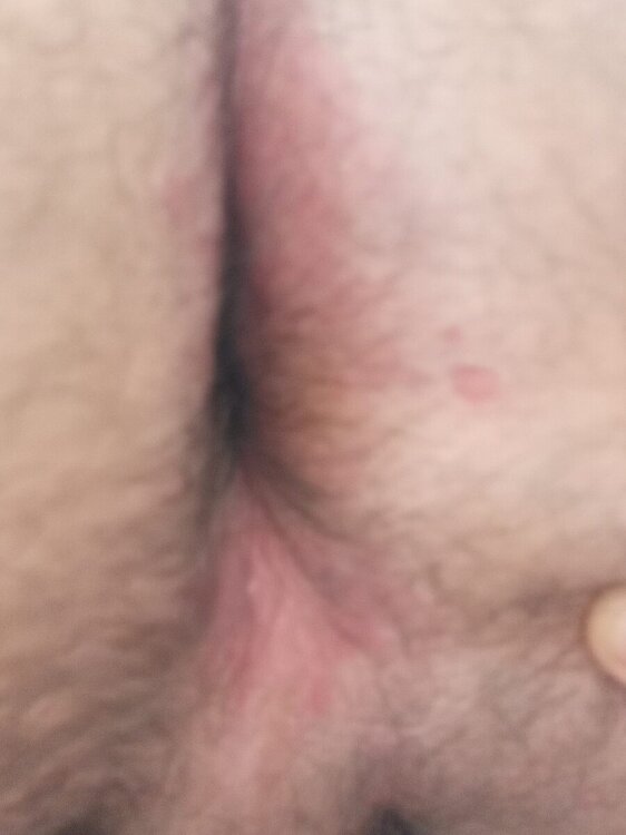 WhatsApp Image 2024-03-17 at 18.18.29 (2).jpeg