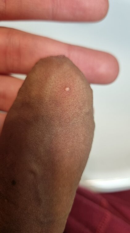 17108932480247422060794558405799.thumb.jpg.fbf9d7af697e79deba209e79c878422e.jpg